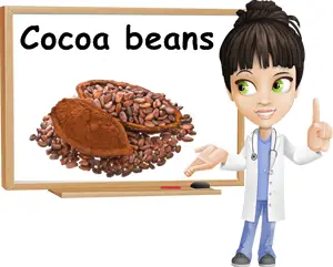 Cocoa beans benefits