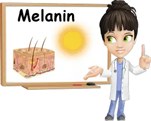 Melanin properties