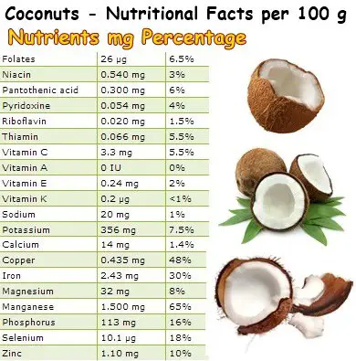 Nutritional Facts Coconuts