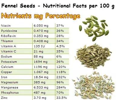 Nutritional Facts Fennel Seeds
