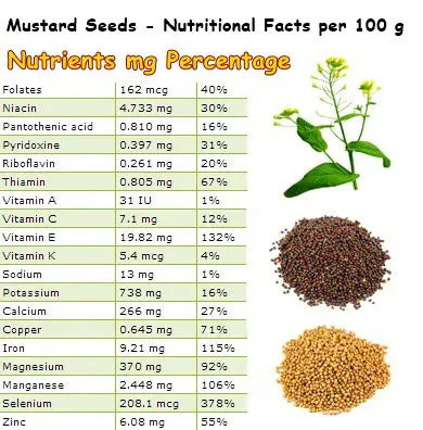 Nutritional Facts Mustard Seeds