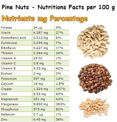 Nutritional Facts Pine Nuts