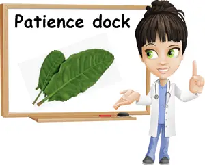 Patience dock benefits