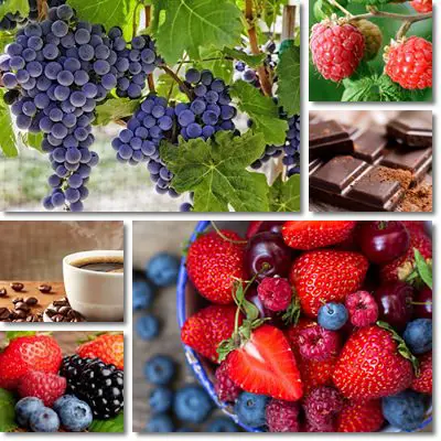 Polyphenols foods