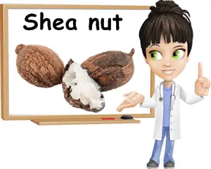 Shea nut benefits