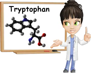 Tryptophan properties