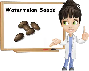 Watermelon seeds properties