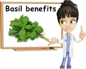 Basil benefits