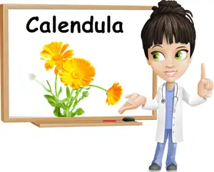 Calendula benefits