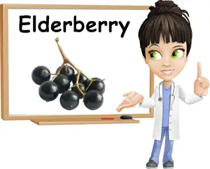 Elderberry benefits