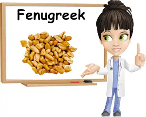 Fenugreek seeds benefits