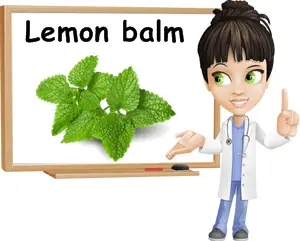 Lemon balm benefits