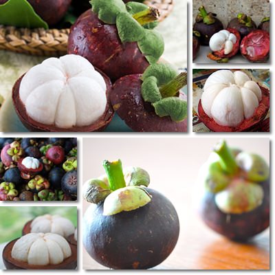 Mangosteen