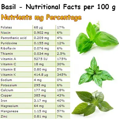 Nutritional Facts Basil