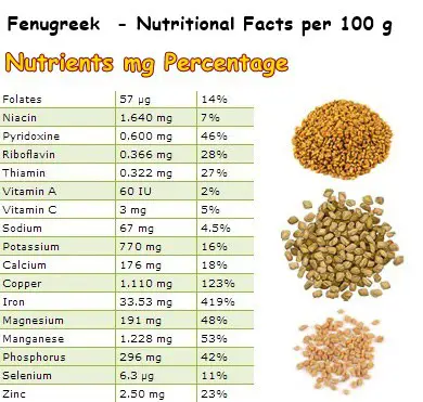 Nutritional Facts Fenugreek Seeds