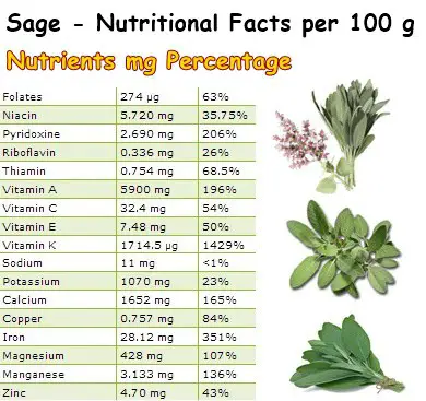 Nutritional Facts Sage