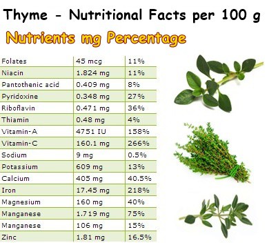 Nutritional Facts Thyme