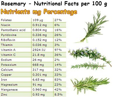 Nutritional facts rosemary