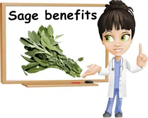 Sage benefits