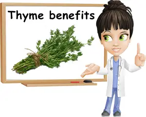 Thyme benefits