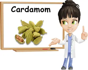 Cardamom benefits