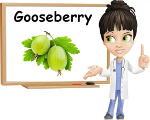 Gooseberry benefits