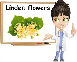 Linden benefits