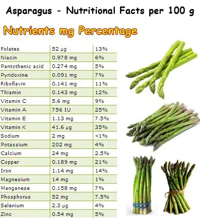 Nutritional Facts Asparagus