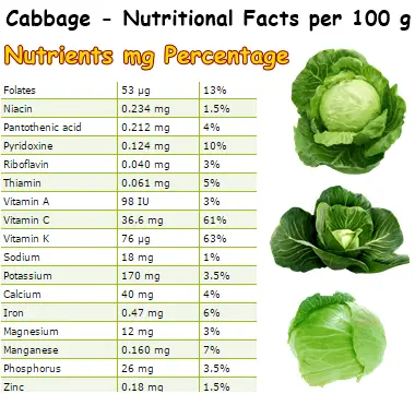 Nutritional Facts Cabbage