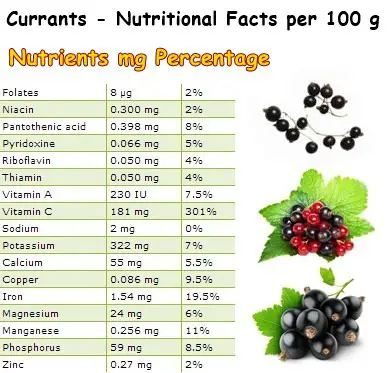 Nutritional Facts Currants