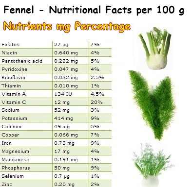 Nutritional Facts Fennel