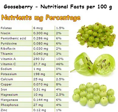 Nutritional Facts Gooseberry