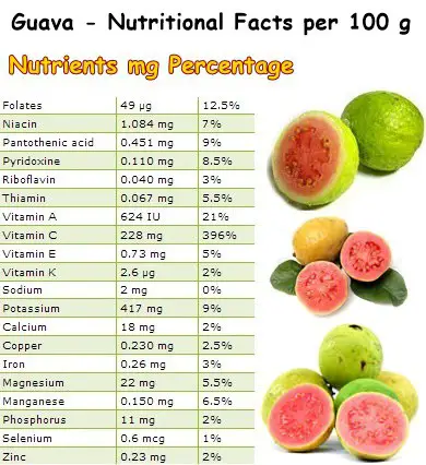 Nutritional Facts Guava