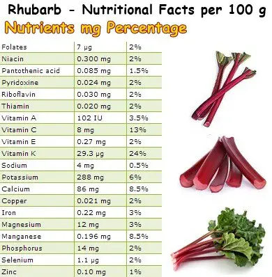 Nutritional Facts Rhubarb
