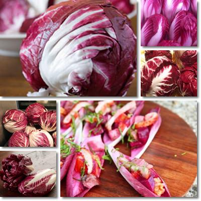 Radicchio