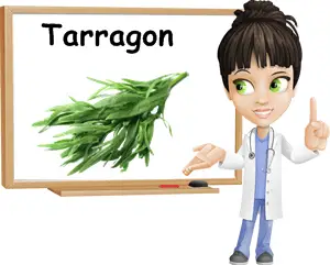 Tarragon benefits