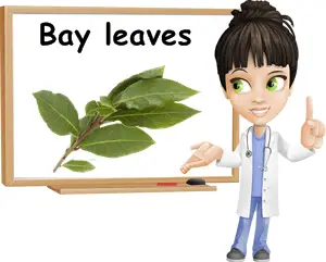 Bay laurel leaves benefits