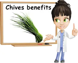 Chives benefits