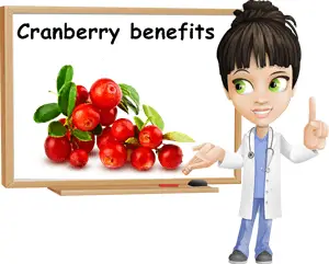 Cranberry benefits