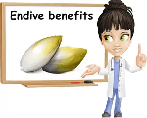 Endive benefits