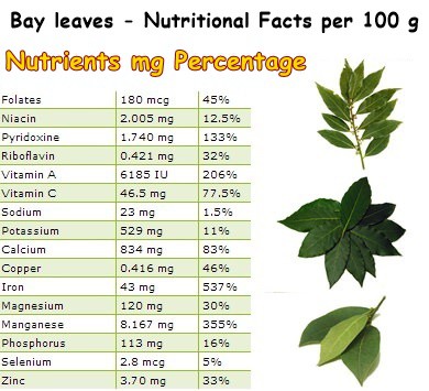 Nutritional Facts Bay leaves