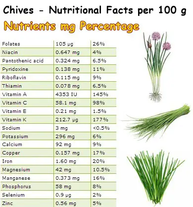 Nutritional Facts Chives