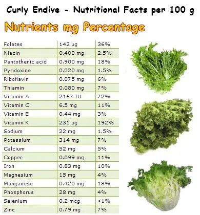 Nutritional Facts Curly Endive