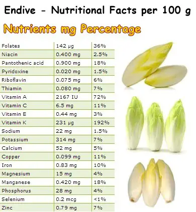 Nutritional Facts Endive