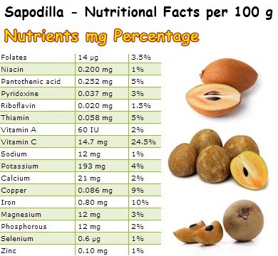 Nutritional Facts Sapodilla