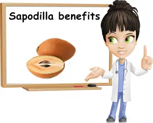 Sapodilla benefits