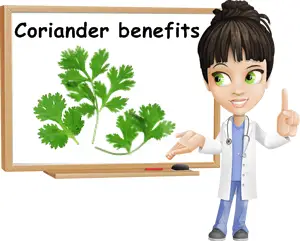 Coriander benefits