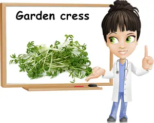 Garden cress benefits