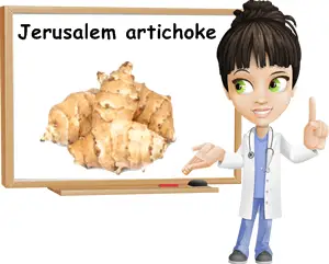 Jerusalem artichoke benefits