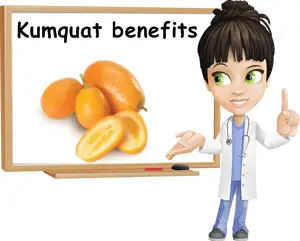 Kumquat benefits